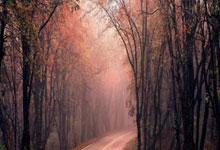 姆巴佩：若齐达内执教法国我会很欣喜 但我无法左右人选.