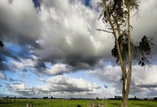 2025中国业余高尔夫球队际公开赛启幕.