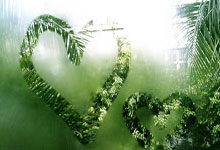 拜仁官方：于帕梅卡诺左膝关节内出现游离体，将缺席几周.