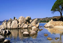 拜仁官方:于帕梅卡诺左膝关节内出现游离体,将缺席几周.